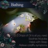 Calmer Solutions | Citronella - 10ml | Headache, colds, Insect Repellent |Pure 100% UK Sourced Natural Essential Oils | Professional or Home use