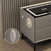 BAUBUY Smart Led Nightstand with 23 Drawers UsbWireless Charging Port and Fingerprint Lock Bluetooth Speaker Small Side Table for Bedroom Living