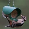 Jacobi Jayne FBF-2 Flutter Butter Hanging Feeder, Green, 170.0 mm*130.0 mm*90.0 mm