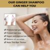 Ginger Shampoo Ginger Hair Growth Shampoo Anti Hair Loss Shampoo Natural Organic Ginger Shampoo Promotes Hair Growth Antidandruff  Antiitching Gi