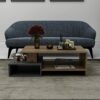 HOMIDEA DUX Low coffee table  wood material  Sofa table  Modern coffee table in a fashionable design with shelf AnthraciteBriarsmoke