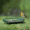 RSPB Mesh Wild Bird Ground Feeder, for many types of bird seed, peanuts, mealworms, sunflower and more, Reduces Mess, Helps to Keep the Food Dry,