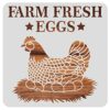 BENECREAT 30x30cm Hen Pattern Plastic Painting Stencils, Farm Fresh Eggs Large Reusable Stencil Template for Painting on Scrapbook Fabric Tiles F