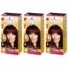 Schwarzkopf Country Colors Professional Quality Brunette Hair Dye SemiPermanent Hair Colour No Ammonia Rouge Noir Shade 75 Madagascar 3 x Multipa