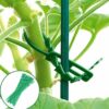 D.A.Y. Republic 50 Pieces 7" Adjustable Flexible Garden Twist Cable Ties for Supporting Plants, Fixing Vine, Trellis, Rose Arch, Climbing Support