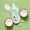 Garnier Intensive 7 Days Coconut Milk  Probiotic Extract Body Lotion 400ml Nourishing Moisturiser Up to 7 Days Hydration For Dry  Rough Skin Fast