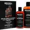 Brickell Mens Daily Essential Face Care Routine I Gel Facial Cleanser Wash and Face Moisturizer Lotion Natural and Organic Scented