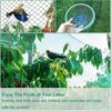 Straame Garden Netting, Plant, Veg, Fruit and Ponds Protection, Cat and Bird Proof Garden Net, Versatile Fine Mesh Garden, Garden Fence Netting,