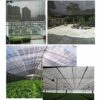 Blanketswarm Sunblock Shade Net Garden Greenhouse Shade Net UV Resistant Mesh 70% Shading Rate for Flowers,Plants,Patio Lawn (10ftx10ft)