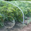 Garden Netting 4 X 10 m Green Anti Bird Netting Pond Trees Netting for Plants Protection Garden Mesh Fruit Pea Netting with 30 Pcs Cable Ties and