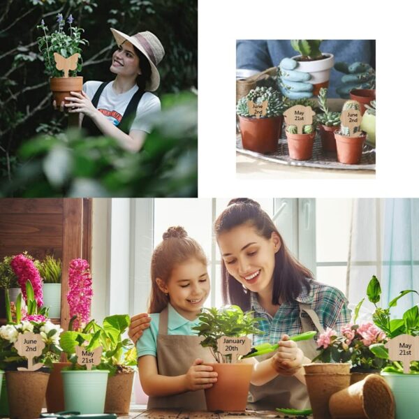 40Pcs Bamboo Plant Labels, Wooden Bamboo Plant Tags Garden Markers Plant Labels for Outdoor Plants