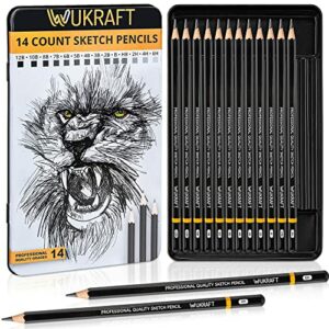 Drawing Pencils for Artists 14 Pcs - 12B – 6H Sketching Pencils Set with Metal case for Drafting, Sketching, Shading, Drawing, Illustrations – Id