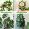 Moss Pole for Cheese Plant, 2 Pack 47 Inches Moss Pole, Moss Pole for Monstera, Moss Stick for Cheese Plant, Plant Supports for Plants Indoor/Gar