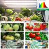 Grow Lights for Indoor Plants, 36W 240 LED Full Spectrum Grow Light Strip with Auto ON/Off 3/9/12H Timer, 10 Brightness, 3 Lighting Spectrum, Pla