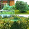 Straame Garden Netting, Plant, Veg, Fruit and Ponds Protection, Cat and Bird Proof Garden Net, Versatile Fine Mesh Garden, Garden Fence Netting,