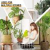 Humbgo Moss Pole for Monstera Indoor Plants - 4 Pcs 40CM/15.7 Inch with 2M Ties 4M Rope 4 Plant Watering Spikes Totem Pole Plant Climbing Coco Co