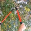 TABOR TOOLS GL16E Bypass Lopper, Tree Trimmer with ⌀ 3cm Cutting Capacity, Lopping Shears with Shock Guard Bumpers